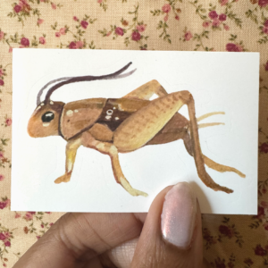firefly sticker