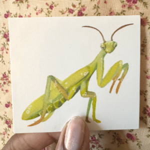 Home firefly sticker