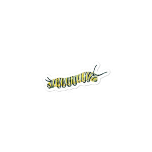 monarch caterpillar sticker